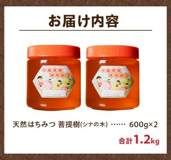 2025年新蜜【北海道滝川産】高見養蜂場の純粋はちみつ(菩提樹、シナの木600g×2本)