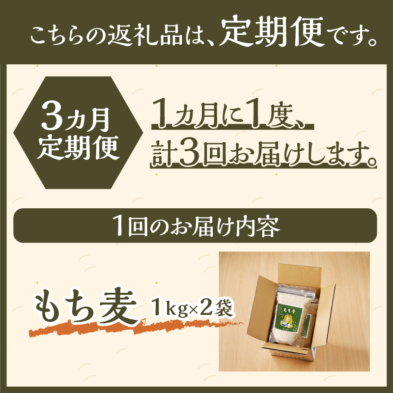 【豊富な食物繊維】もち麦3ヶ月連続お届け