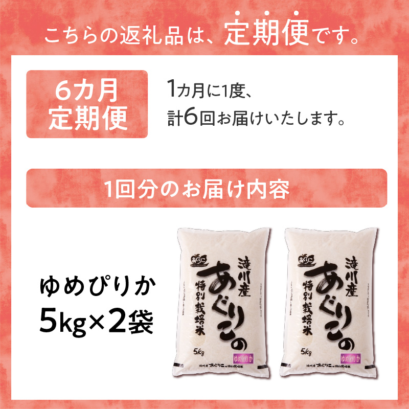 新米【先行受付】令和7年産特別栽培ゆめぴりか 5kg×2袋 6ヶ月連続