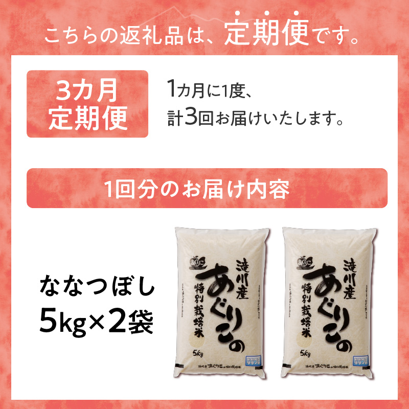 新米【先行受付】令和7年産特別栽培ななつぼし 5kg×2袋 3ヶ月連続