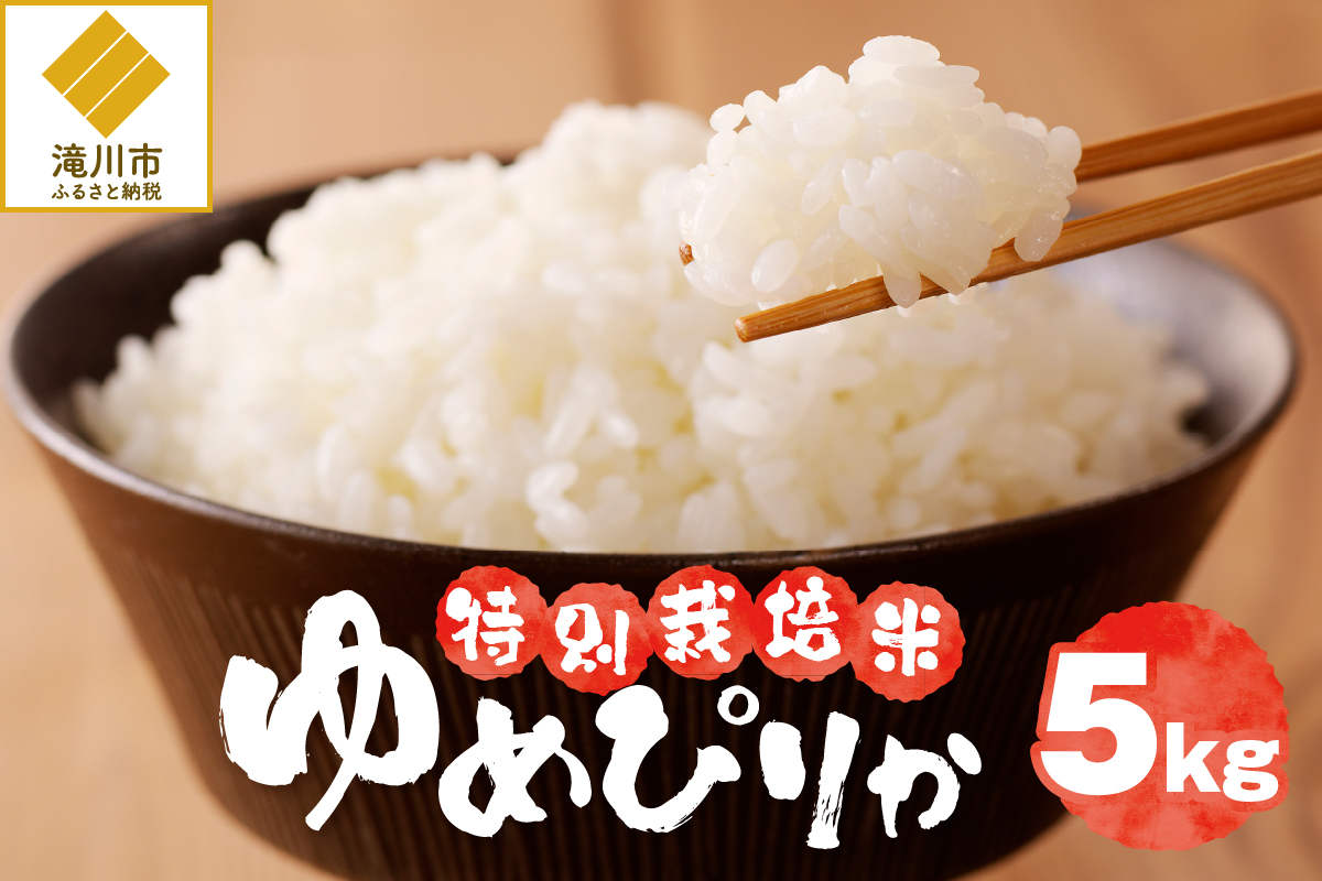 新米【先行受付】令和7年産特別栽培ゆめぴりか 5kg