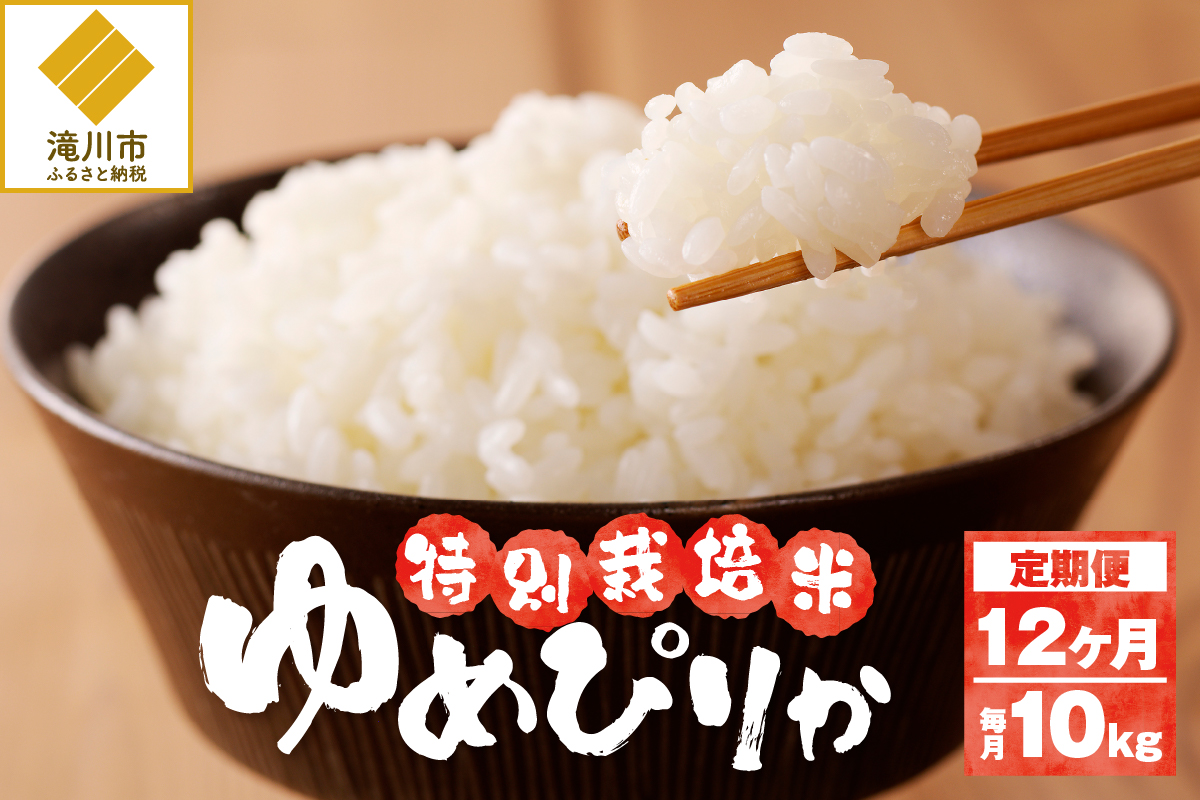 新米【先行受付】令和7年産特別栽培ゆめぴりか 5kg×2袋 12ヶ月連続