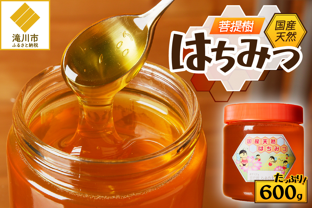 2025年新蜜【北海道滝川産】高見養蜂場の純粋はちみつ(菩提樹、シナの木600g×1本)