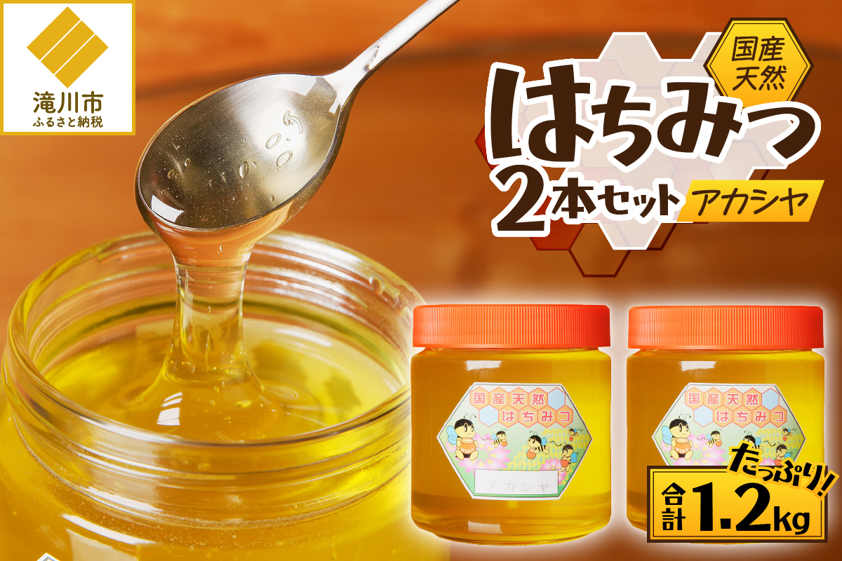 2025年新蜜【北海道滝川産】高見養蜂場の純粋はちみつ(アカシヤ600g×2本)