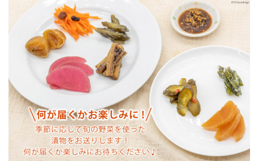 無添加 減塩 手作り 漬物 9種 食べ比べ セット [たびのそら 北海道 砂川市 12260518] 冷蔵 漬け物 つけもの 個包装