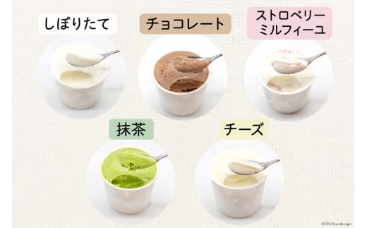 【牧場直送】 アイス 120ml ×5種 計5個 食べ比べ [岩瀬牧場 北海道 砂川市 12260519] ジェラート アイスクリーム スイーツ デザート スウィーツ おやつ