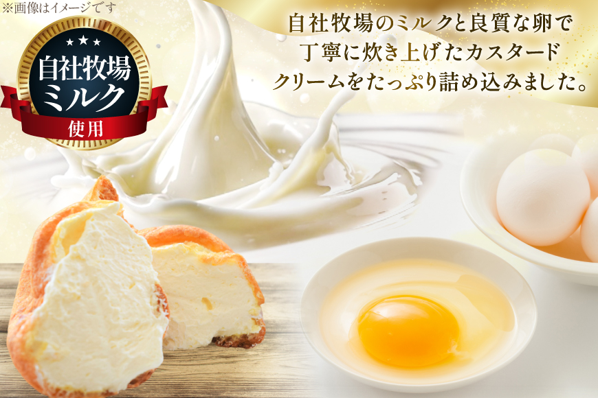 シュークリーム 冷凍 8個 [岩瀬牧場 北海道 砂川市 12260955] 冷凍配送 お菓子 おやつ お取り寄せ スイーツ しゅーくりーむ