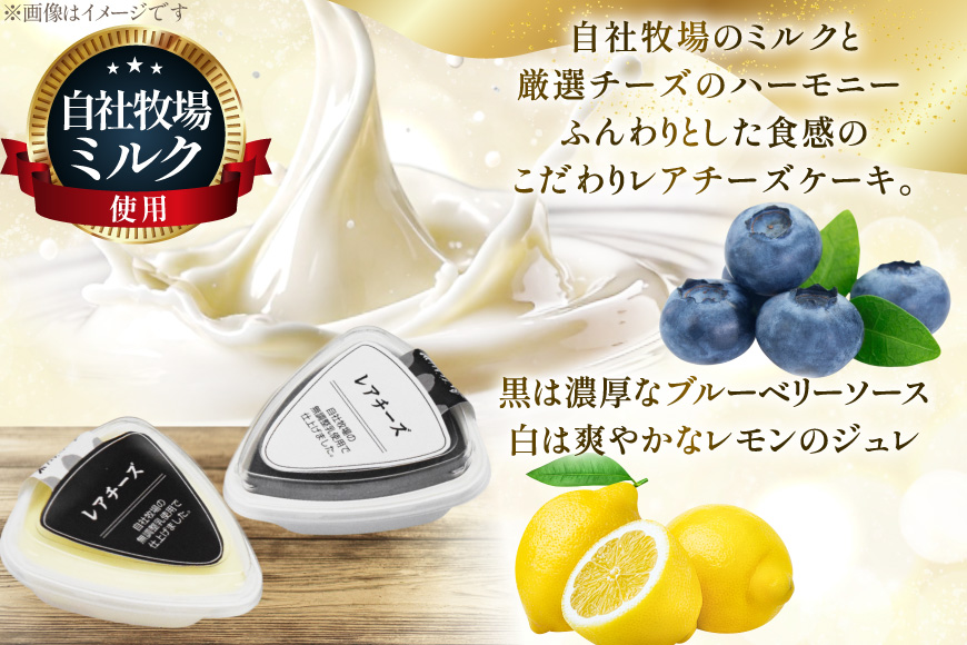 レアチーズケーキ mowmo 2種 4個 セット レモン ブルーベリー [岩瀬牧場 北海道 砂川市 12260956] チーズケーキ cheese cake 冷凍 お菓子 お取り寄せ 洋菓子 詰め合わせ スイーツ モウモーレアチーズ