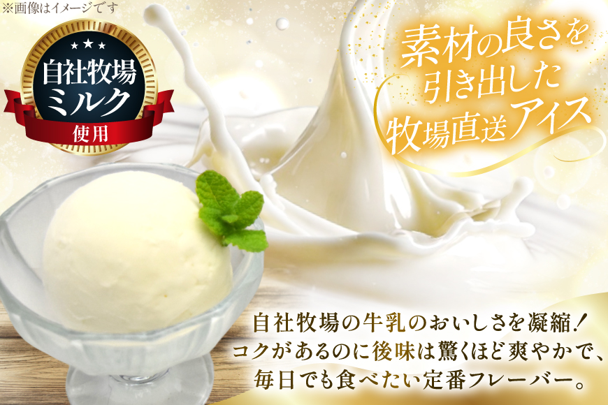 テレビで紹介！ アイス ジェラート ミルク 2L ファミリーサイズ ジャンボサイズ [岩瀬牧場 北海道 砂川市 12260961] 冷凍 アイスクリーム 詰め合わせ スイーツ