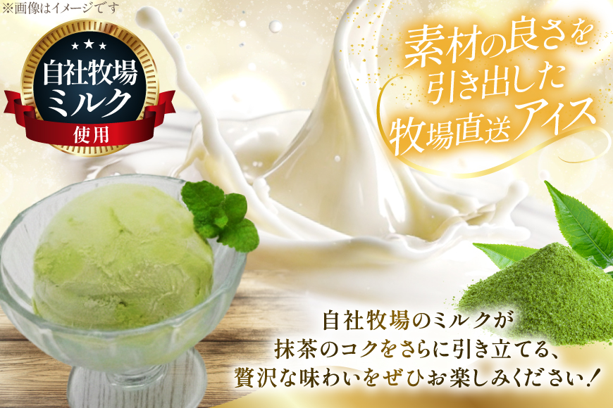 テレビで紹介！ アイス ジェラート 抹茶 1L ファミリーサイズ ジャンボサイズ [岩瀬牧場 北海道 砂川市 12260965] 冷凍 アイスクリーム 詰め合わせ スイーツ