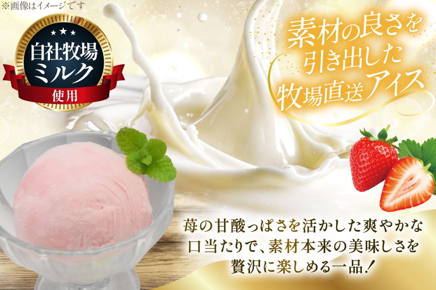 テレビで紹介！ アイス ジェラート ストロベリー 1L ファミリーサイズ [岩瀬牧場 北海道 砂川市 12260968] 冷凍 アイスクリーム 詰め合わせ スイーツ