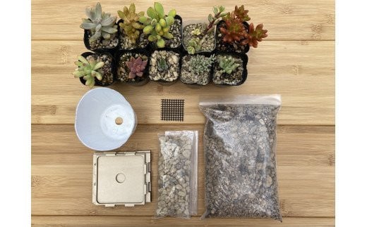 安心やすらぎ共和国 OASIS REPUBLIC -SUNAGAWA BASE- 片桐農園×空知単板工業 『多肉植物寄せ植え体験ギフトセット』 [オアリパ 北海道 砂川市 12260374]