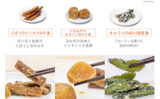 無添加 減塩 手作り 漬物 9種 食べ比べ セット [たびのそら 北海道 砂川市 12260518] 冷蔵 漬け物 つけもの 個包装