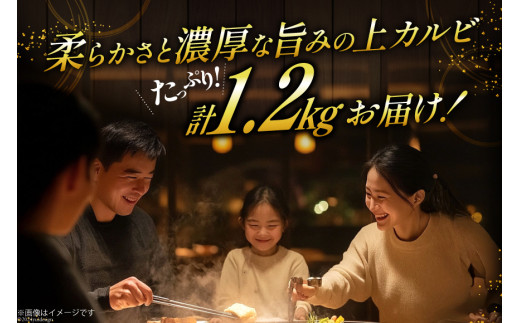 カルビ 焼肉 上カルビ 200g 6パック 計1.2kg [焼肉銀座園 北海道 砂川市 12260730-c] 冷凍 焼き肉 牛 牛肉 肉 小分け やきにく