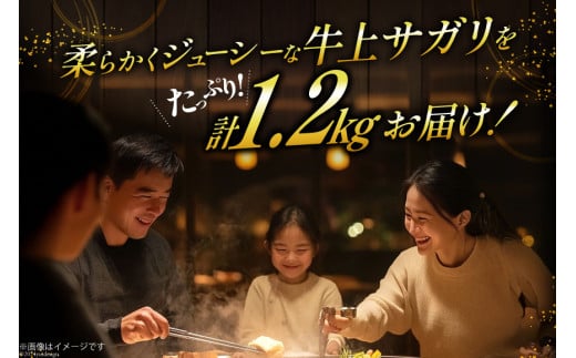 サガリ 牛 上サガリ 200g 6パック 計1.2kg [焼肉銀座園 北海道 砂川市 12260732-c] 冷凍 焼肉 焼き肉 牛肉 肉 小分け やきにく