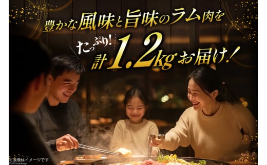 ラム肉 冷凍 ラムジンギスカン 200g 6パック 計1.2kg [焼肉銀座園 北海道 砂川市 12260734-c] 羊肉 羊 肉 小分け 焼肉 焼き肉 やきにく