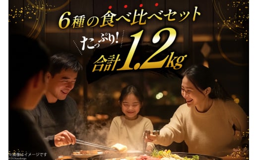 焼肉セット 6種 食べ比べ 200g×6種 計1.2kg [焼肉銀座園 北海道 砂川市 12260736] 焼肉 焼き肉 やきにく 焼肉用 焼肉プレート セット 牛 牛肉 豚 豚肉 カルビ 上カルビ ホルモン 上ホルモン ラム肉 ジンギスカン サガリ
