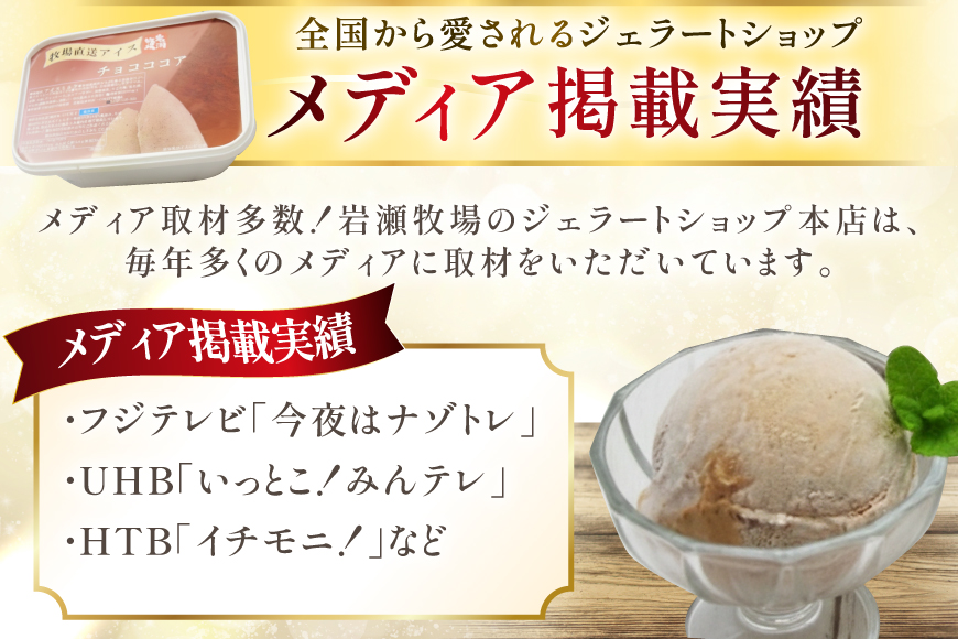 テレビで紹介！ アイス ジェラート チョコココア 1L ファミリーサイズ ジャンボサイズ [岩瀬牧場 北海道 砂川市 12260966] 冷凍 アイスクリーム 詰め合わせ スイーツ