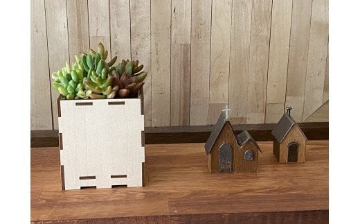 安心やすらぎ共和国 OASIS REPUBLIC -SUNAGAWA BASE- 片桐農園×空知単板工業 『多肉植物寄せ植え体験ギフトセット』 [オアリパ 北海道 砂川市 12260374]