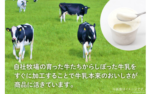 【牧場直送】 アイス 120ml ×5種 計5個 食べ比べ [岩瀬牧場 北海道 砂川市 12260519] ジェラート アイスクリーム スイーツ デザート スウィーツ おやつ