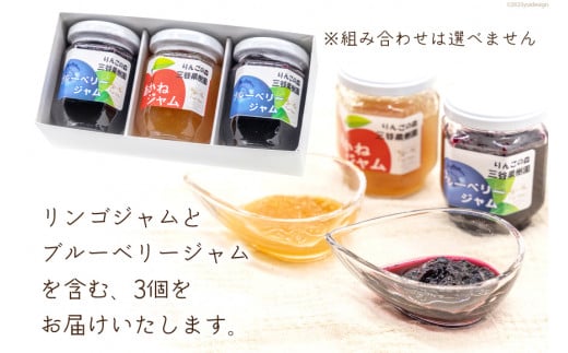 フルーツジャム 140g×3個 セット [三谷果樹園 北海道 砂川市 12260531] フルーツ 果物 りんごジャム ブルーベリージャム 国産 小分け 小瓶