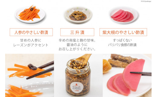 無添加 減塩 手作り 漬物 9種 食べ比べ セット [たびのそら 北海道 砂川市 12260518] 冷蔵 漬け物 つけもの 個包装