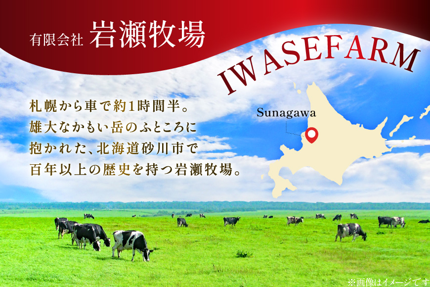 パウンドケーキ 10個 セット 5種 各2個 [岩瀬牧場 北海道 砂川市 12260960] 常温 個包装 スイーツ お取り寄せ 箱あり