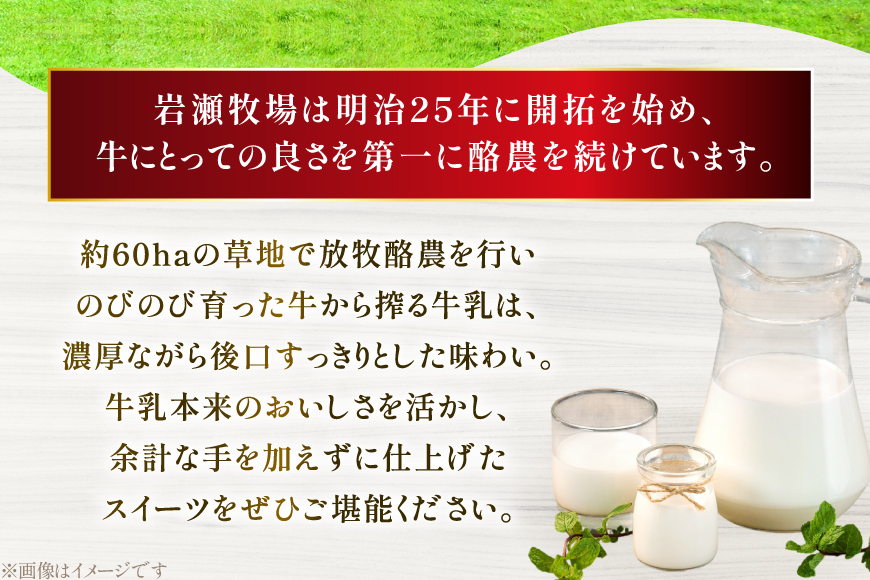 テレビで紹介！ アイス ジェラート 抹茶 1L ファミリーサイズ ジャンボサイズ [岩瀬牧場 北海道 砂川市 12260965] 冷凍 アイスクリーム 詰め合わせ スイーツ