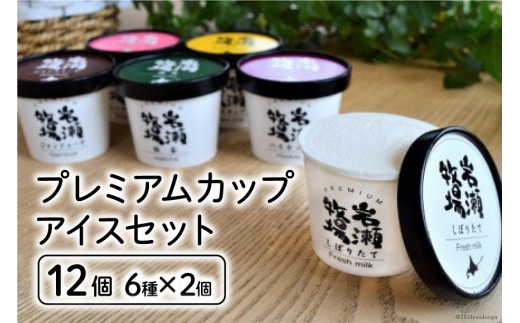 プレミアムカップアイス12個セット [岩瀬牧場 北海道 砂川市 12260340] アイス イタリアン ジェラート 詰め合わせ