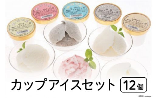 カップアイス12個セット [岩瀬牧場 北海道 砂川市 12260341] アイス イタリアン ジェラート 詰め合わせ