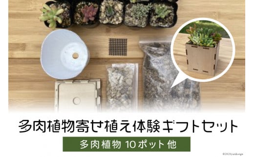 安心やすらぎ共和国 OASIS REPUBLIC -SUNAGAWA BASE- 片桐農園×空知単板工業 『多肉植物寄せ植え体験ギフトセット』 [オアリパ 北海道 砂川市 12260374]