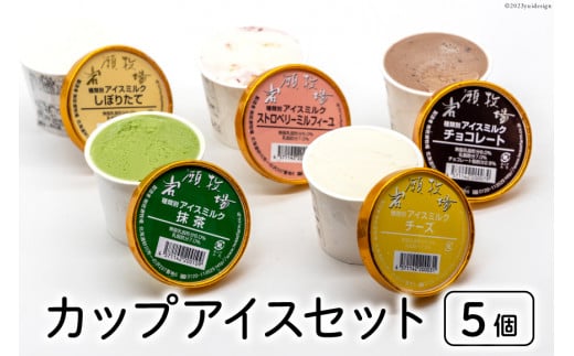 【牧場直送】 アイス 120ml ×5種 計5個 食べ比べ [岩瀬牧場 北海道 砂川市 12260519] ジェラート アイスクリーム スイーツ デザート スウィーツ おやつ