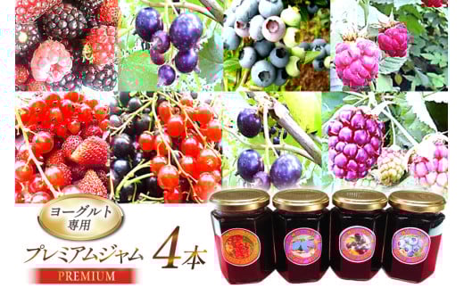 ヨーグルト専用プレミアム・ジャム４本詰めセット [ノーザン・ベリーズ 北海道 砂川市 12260842] 果物 フルーツ 国産 ジャム瓶 自家栽培