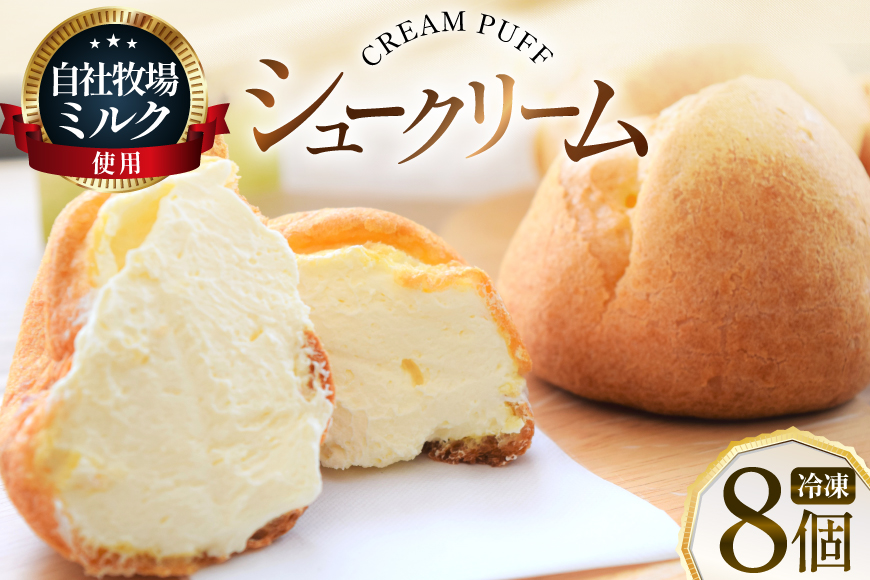 シュークリーム 冷凍 8個 [岩瀬牧場 北海道 砂川市 12260955] 冷凍配送 お菓子 おやつ お取り寄せ スイーツ しゅーくりーむ