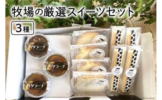 牧場の厳選スイーツセット 3種 計11個 [岩瀬牧場 北海道 砂川市 12260338] 菓子 お菓子 焼き菓子 スイーツ ロールケーキ チーズスティック カタラーナ