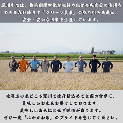 【令和7年産先行受付】北海道深川産ゆめぴりか5kg(普通精米)