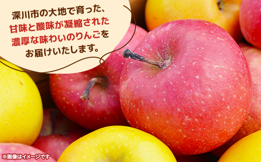 【令和7年産先行受付】北海道深川市産りんご(つがる)5kg【ふるさと納税】【配送不可地域：離島】