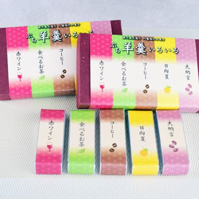 深川銘菓「ぷち羊羹いろいろ(50g×15個)」【配送不可地域：離島】