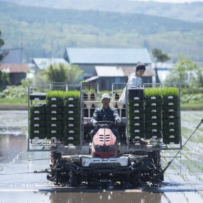 北海道産ゆめぴりか 栽培期間中農薬・化学肥料不使用 玄米5kg