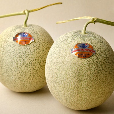 ＜令和7年産先行受付＞北海道産赤肉メロン 優品または秀品・5玉入り(約8kg)