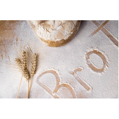 北海道産小麦　春よ恋　強力粉　3kg(1kg×3袋)