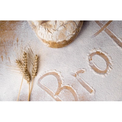 北海道産小麦　きたほなみ　中力粉　3kg(1kg×3袋)