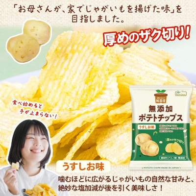 純国産 ポテトチップス うすしお味 12袋 北海道深川市