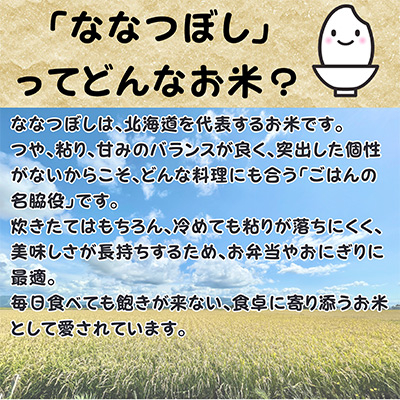 【令和7年産先行受付】北海道深川産ななつぼし10kg(5kg×2袋)(普通精米)