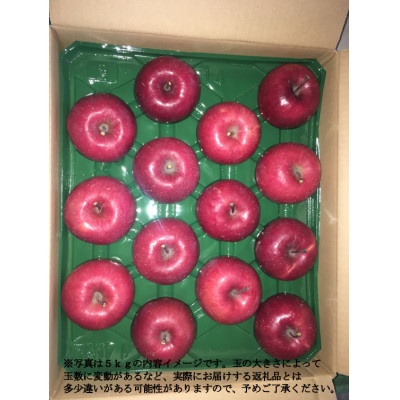 【令和7年産先行受付】北海道深川市産りんご(つがる)5kg【ふるさと納税】【配送不可地域：離島】
