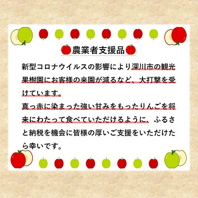 【令和7年産先行受付】北海道深川産りんご(つがる)10kg【ふるさと納税】【配送不可地域：離島】