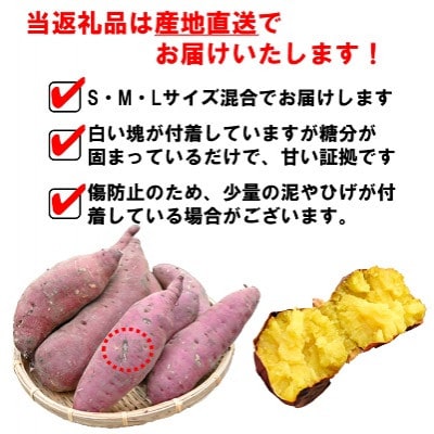 先行受付　北海道深川市産サツマイモ　シルクスィート2.5kg・紅はるか2.5kg  計5kgセット【配送不可地域：離島】