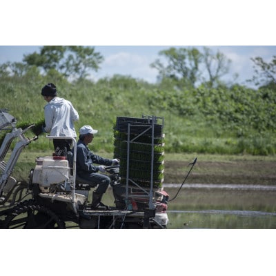 北海道産 特別栽培米ゆめぴりか 玄米5kg