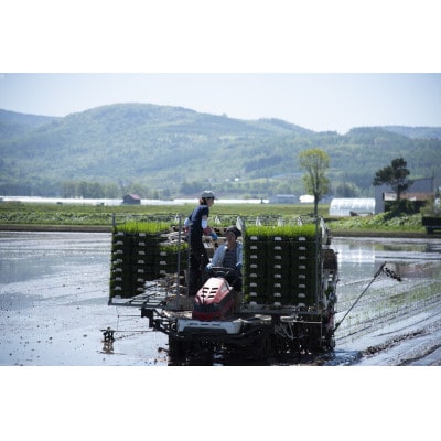 北海道産 特別栽培米ななつぼし 玄米 5kg