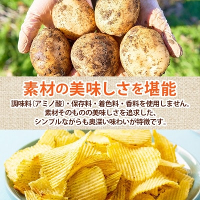 純国産 ポテトチップス うすしお味 12袋 北海道深川市